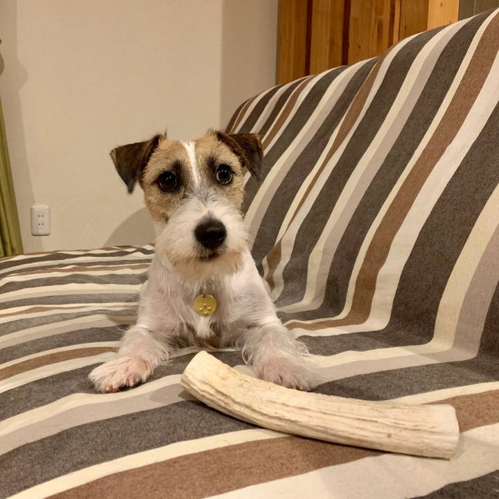 Bc81a66b 763a 49ec a200 eb3153be60cc 1602246256396