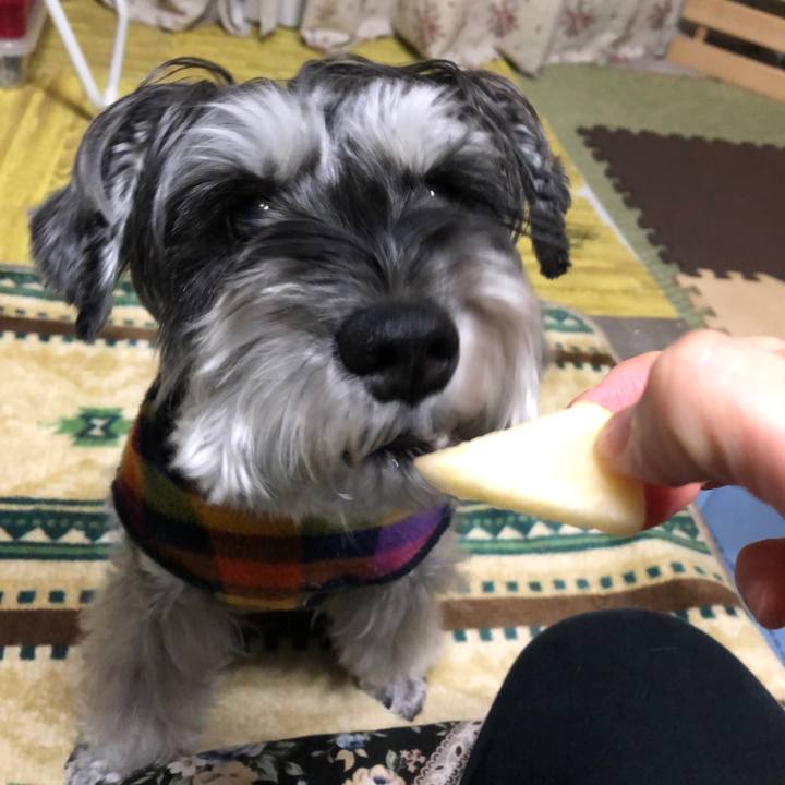 Bc81a80e fc4d 4bda a2ec 3cc3221a91f4 1670334667926