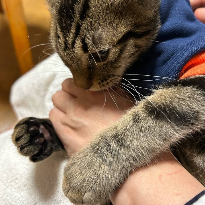 Bc81af6a 7c78 4ecb aa57 65013f9d713f 1730629716861