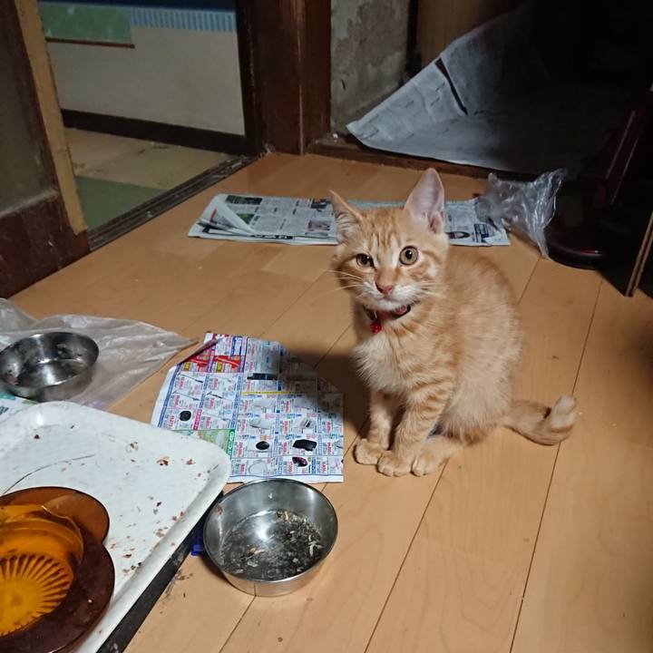 Bc81c1f8 f809 43f6 a1ba 89313e8dceed 1632690675337