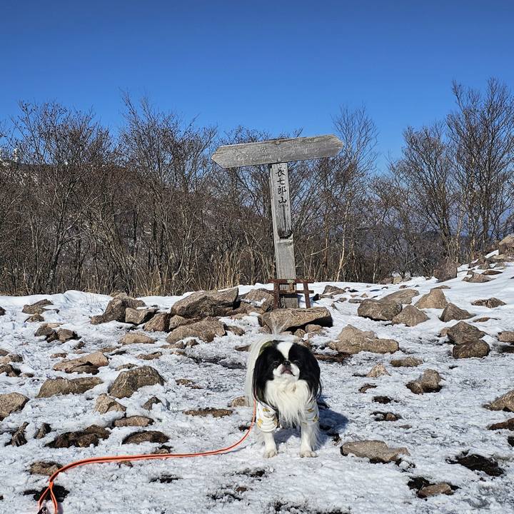 Bc824603 22ba 4edc b1cd e527dde04414 1737715726170