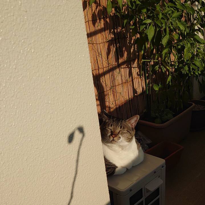 Bc8246c4 9e20 47c9 a798 8b881c1998c8 1604104023332