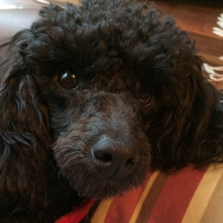 Bc8255af d84a 43a2 aaf5 5c3d0c59fd72 1538285523594