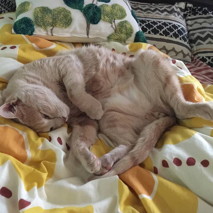 Bc82603c b065 425d 9f1d e765dbfb572f 1539048300828