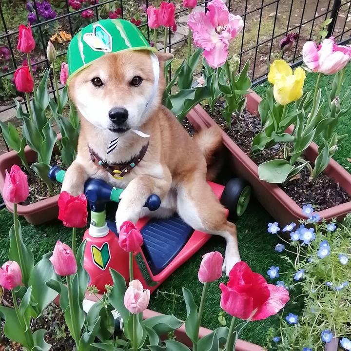 Bc8275b7 a5e1 47a6 a11c 347a369cf165 1587537599104