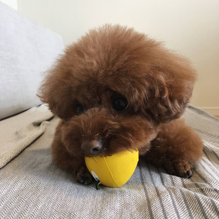 Bc827c35 1d75 4db8 b52f 822d09c7401b 1563867497230