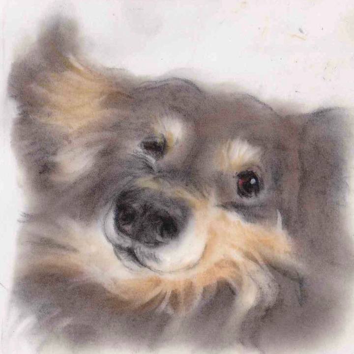 Bc8294f3 8b50 4ec8 9765 318ab570d8a6 1656237884415