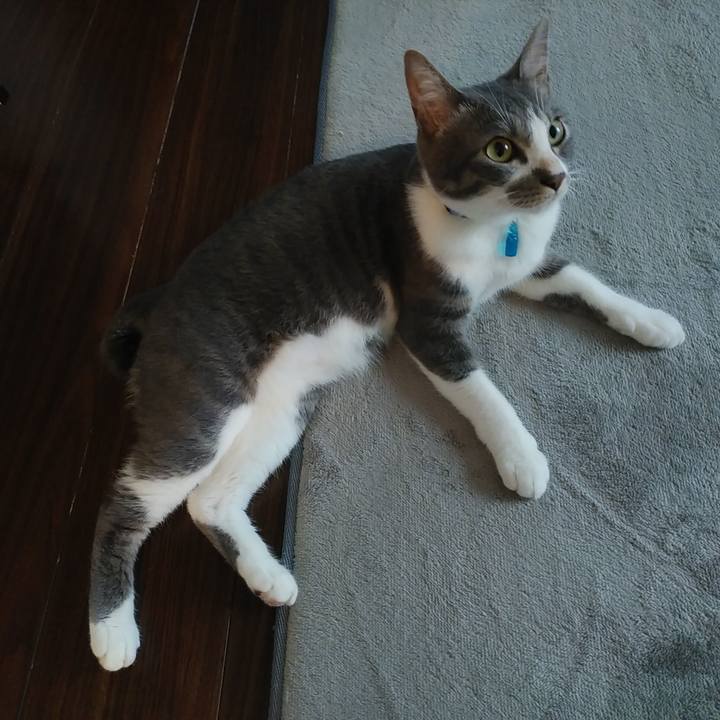 Bc8306e3 eb52 46df 801d a91dbbb479fc 1595632874133