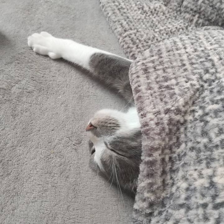 Bc8308aa 88c6 44ac a3dd 229791d4815d 1611043834267