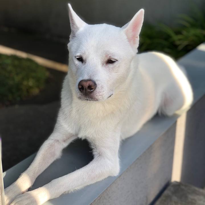 Bc8309a1 0ada 40d9 b1bb 30c17f313272 1599482281276