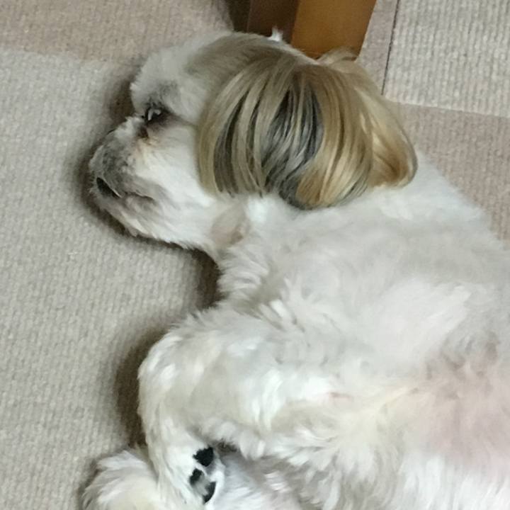 Bc832475 84b6 4fbe a375 5a19fff26217 1570359737052