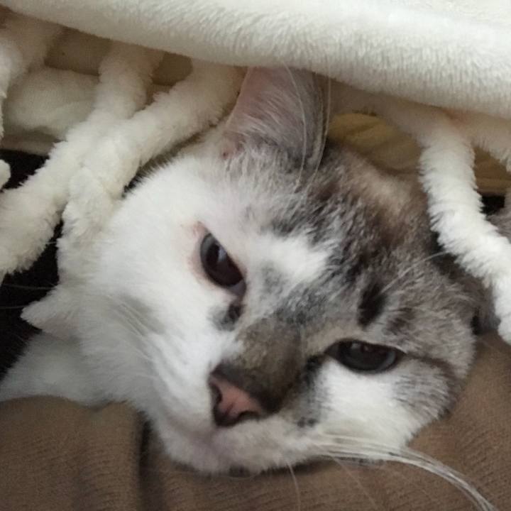 Bc835a0b f4bf 4aac ab1b 188796a99e6a 1520123139285