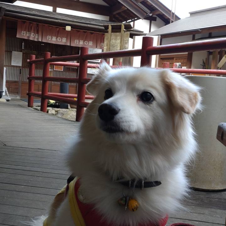 Bc83614b 3ce9 4917 ac22 7265be690846 1643279074038