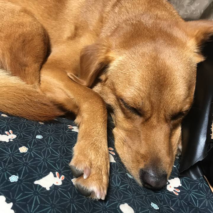 Bc83a78e aaa4 4f66 9b42 3638fb3f052a 1509711894893