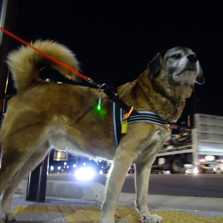 Bc83cfb0 da9f 4c0a 8c5c 5c6ce8d301cc 1549019542446