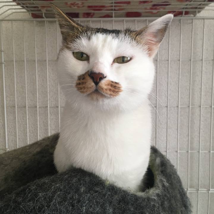 Bc83d7d2 bbca 49c3 91ee 87196f926417 1543282559777