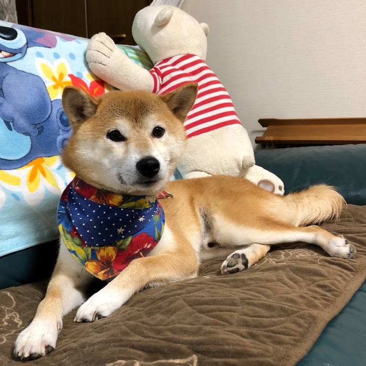 Bc83ea48 e616 408c 8f43 11429e969dd0 1539681206585