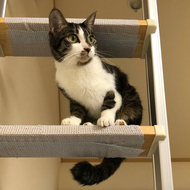 Bc841e9e 5806 41e6 9eb3 8954c42d00ab 1519158484759