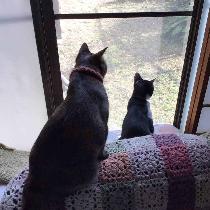 Bc848d08 14d8 4571 9473 4705fc12d7a1 1632476339330