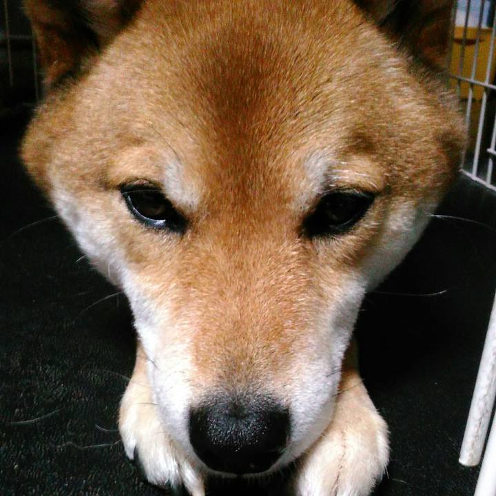 Bc84909c 8d80 4a23 93dd 58ecfa706eb5 1521180556993