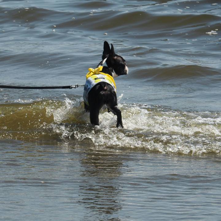 Bc84a284 f2c6 4a9c befe e6460de65021 1528024480391