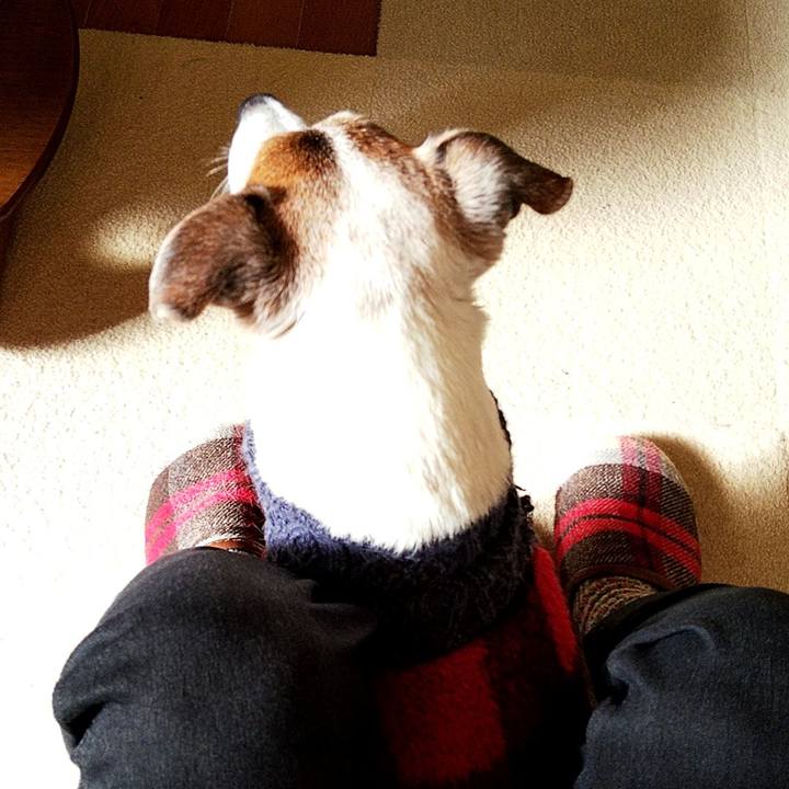 Bc84a400 5406 46e3 9286 3530f119ded8 1577151654749