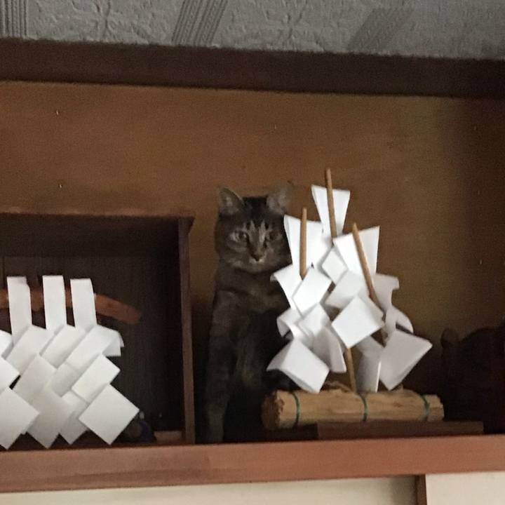 Bc84b96d e4d6 46d7 9bdb e99ec8fe17c6 1630114722276