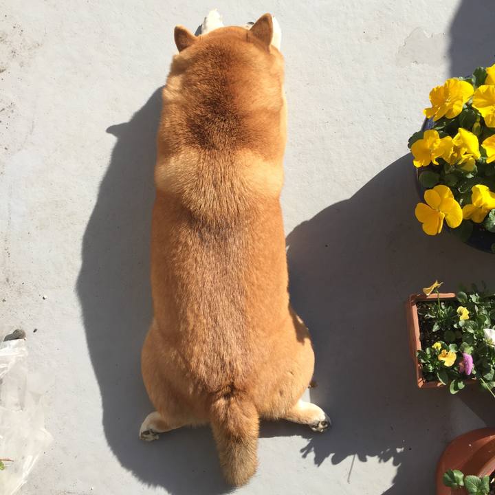 Bc84cc92 9fec 46e3 aca8 97f8e8002e30 1550900227861