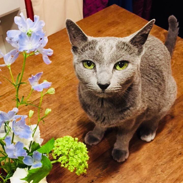 Bc84dc6a 6818 4a0a a5fb 950913adfbcb 1524698546269