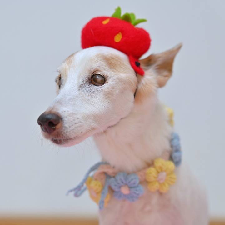 Bc853ae6 6c1f 42e4 ac4c 518090771e92 1763146407384