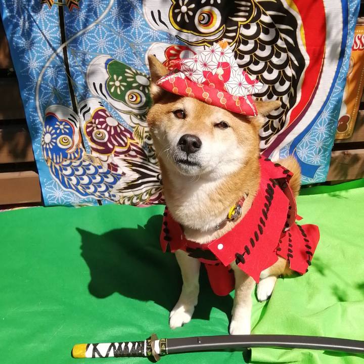 Bc855b8d 6409 4120 a5ed c4accd4ad06f 1651557491112