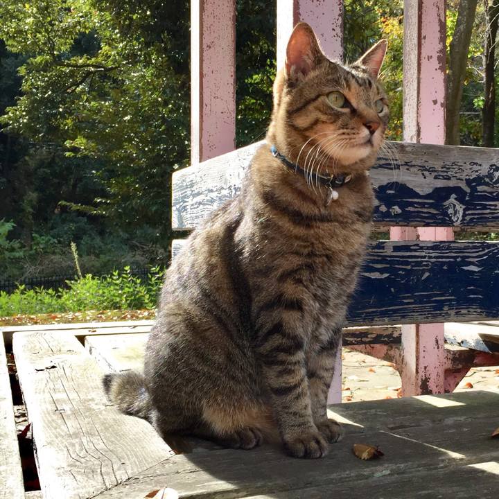 Bc856bf1 8d2a 463d 94fb 9354120c72a1 1511687316905