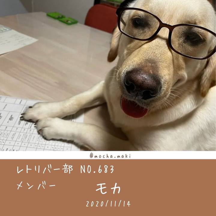 Bc8572ca 8be9 4ad2 9bef 0a6e0e01fafc 1661322974614