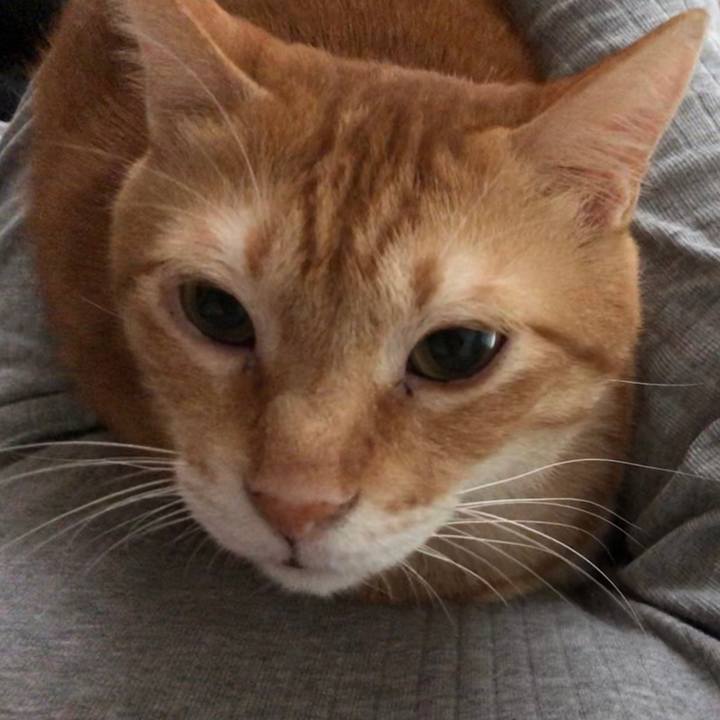 Bc85a189 fc57 4292 b1d0 d5e4c89544c3 1597389358722