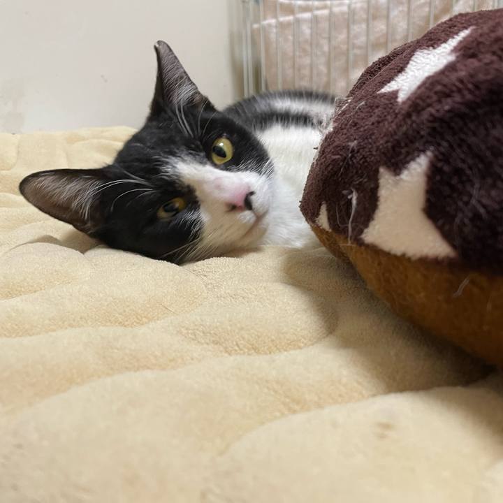 Bc85bb8e 8dd8 4aaf 8308 95af6dfdab2f 1678907226683