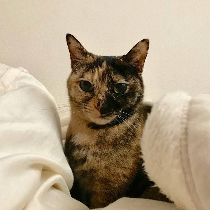 Bc85cd0d 8e7d 4295 ad7d 5a8c96f40ee2 1546250487248