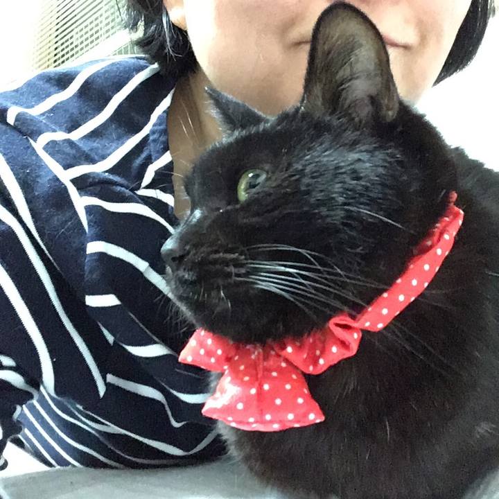 Bc85e07e 5936 4667 9e2b e17709d3ad2a 1553088774178