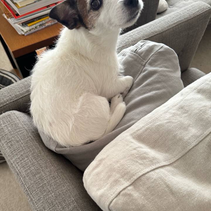 Bc85f236 20e8 4563 a3cd 57cdf85d0e54 1764295285441