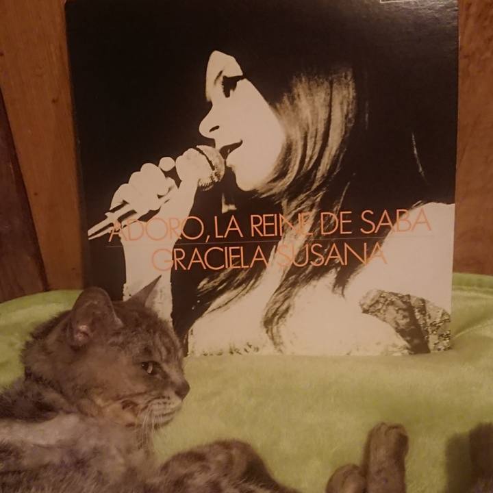 Bc8614bc 8449 4d1c 89e2 8b44dfe821fd 1598958883109