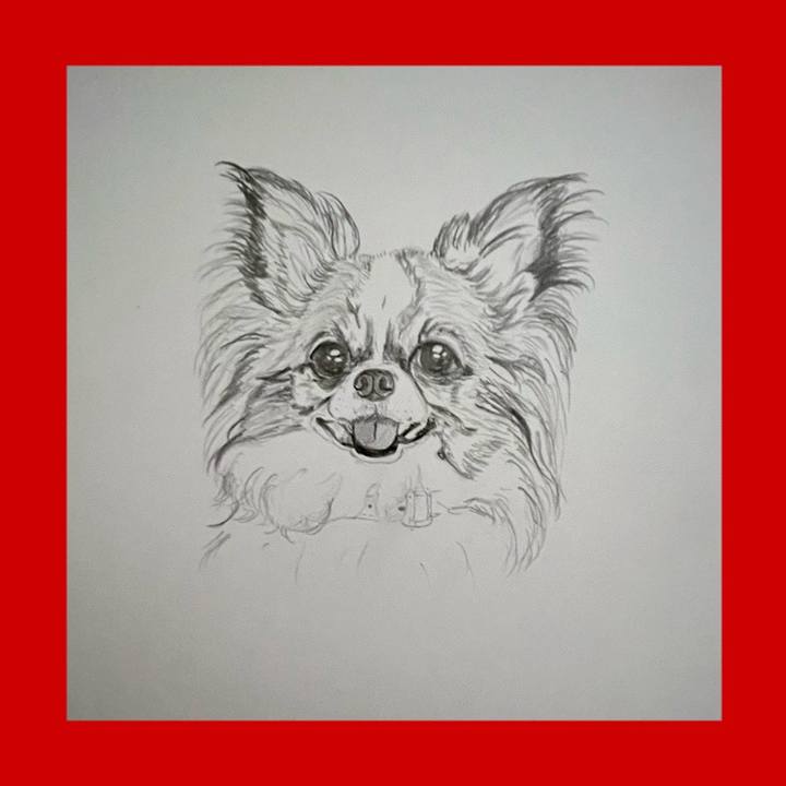 Bc861810 902f 401b b7a5 a527032dd73a 1691836955879