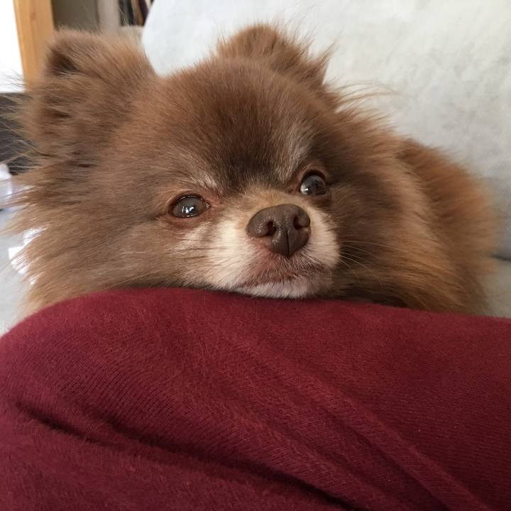 Bc8649fc fcf1 4e72 93e8 a76a21ecd9e4 1523627911235