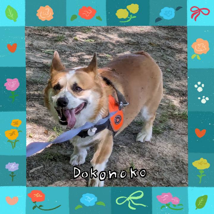 Bc8655bd 07dc 4c21 9603 0884881c0b57 1715111144896