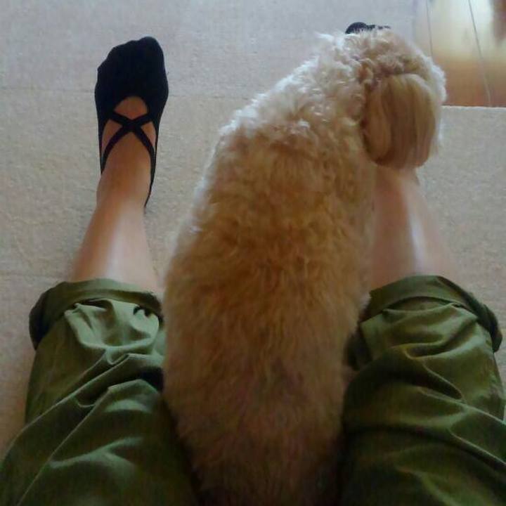 Bc86951e 7052 4cf6 b176 a116b7e4eaad 1569538636468