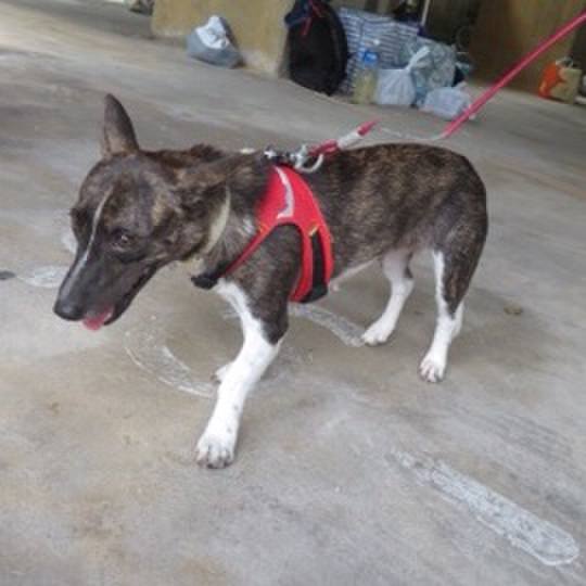 Bc86a2ad 380c 4fd8 b2ed a063a31b6242 1601820380243