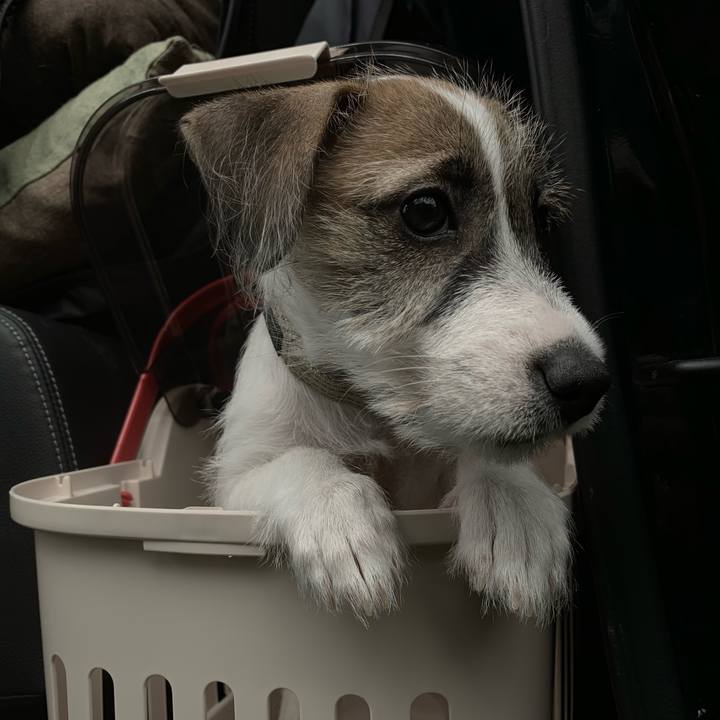 Bc86d966 b72f 40d0 a694 646c36f6d7b8 1560669523384