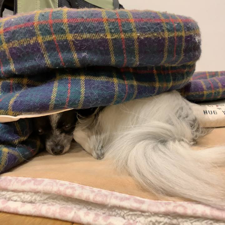 Bc86e904 1066 45e7 b36c 20d9101f78bb 1552914914476