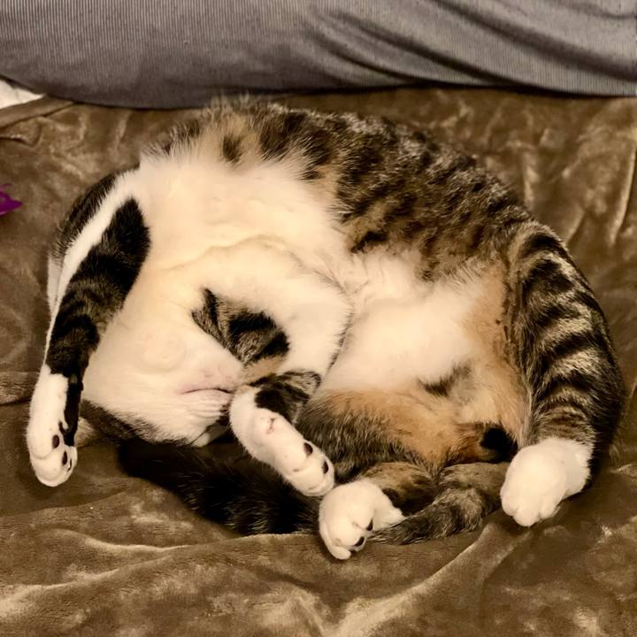 Bc86ed26 ad24 4e29 868f 45348ff7bde5 1764332925835