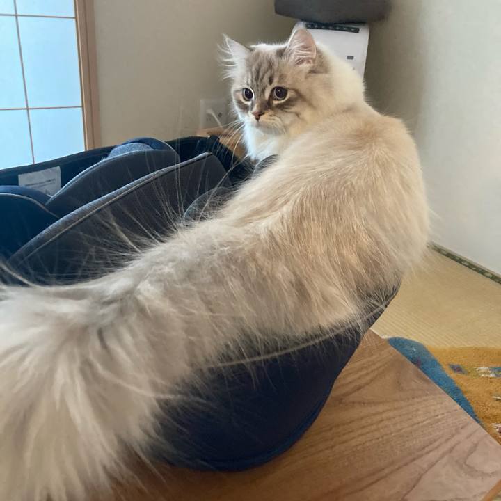 Bc86fc8f 10f5 4e87 890d 6e6ccca89567 1706963528129