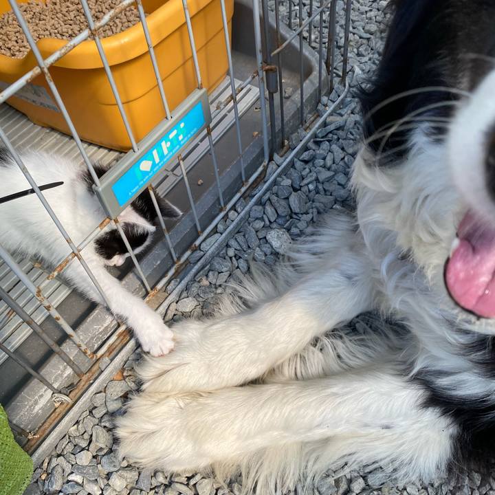 Bc871697 645c 4309 8c3c 50f5ed9767ad 1652834352074