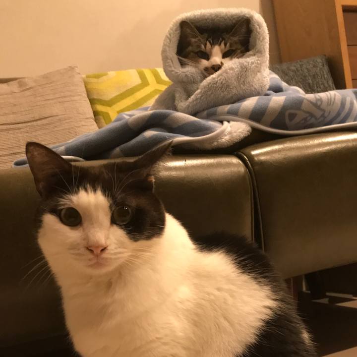 Bc872501 a360 4c97 97f7 560cac627072 1638105542721